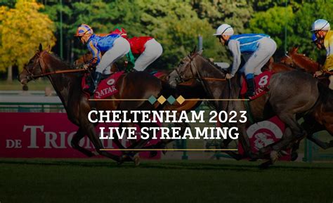 trustly betting sites|Cheltenham Festival 2023 Live Streaming .